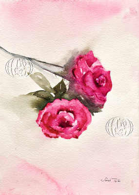 Werk van Sarah Talbi