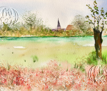 Werk van Sarah Talbi