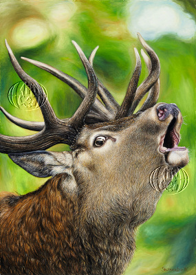 Werk van Walery SIEJTBATALOW